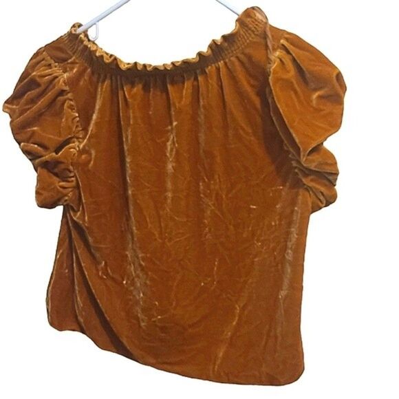 Free People Terese Velvet Top – Pumpkin Pie - Picture 8 of 8